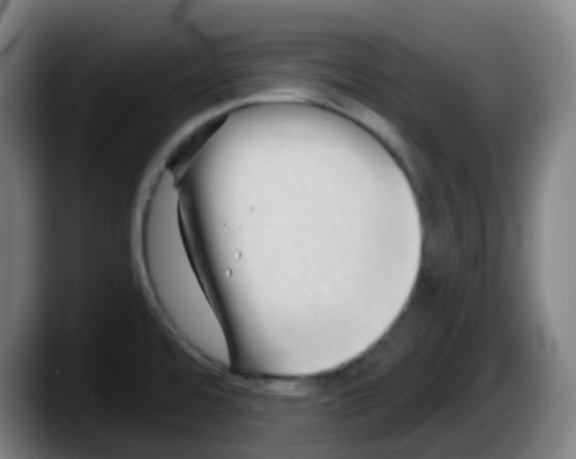 X0000087611480200705251932