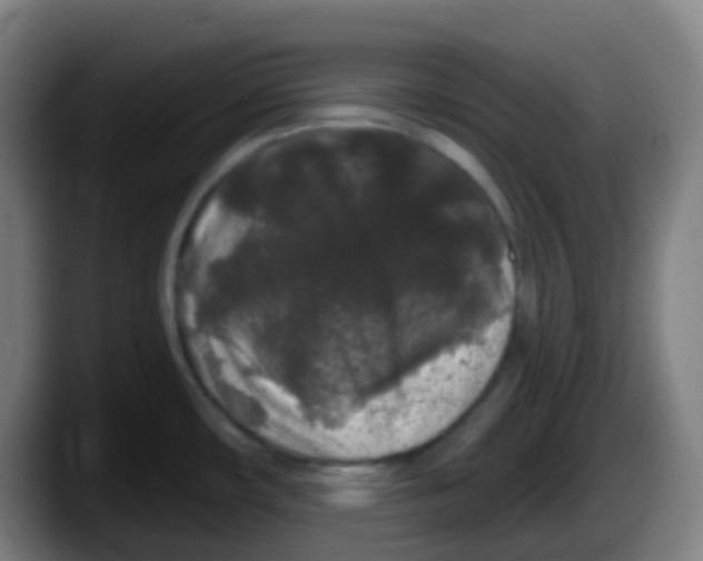 X0000087611482200705251932