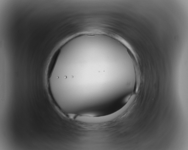 X0000087611485200705251932