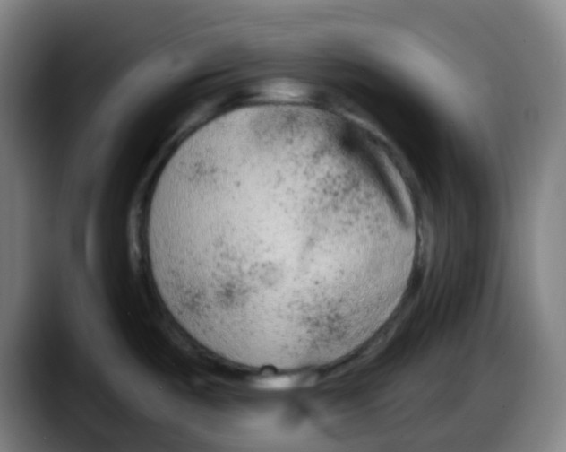 X0000087611487200705251932