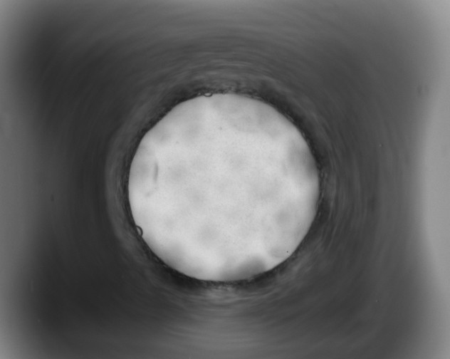 X0000087611489200705251931