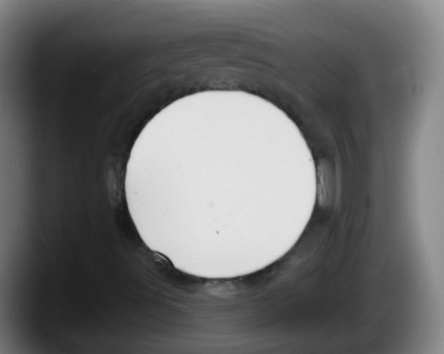 X0000087611491200705251931