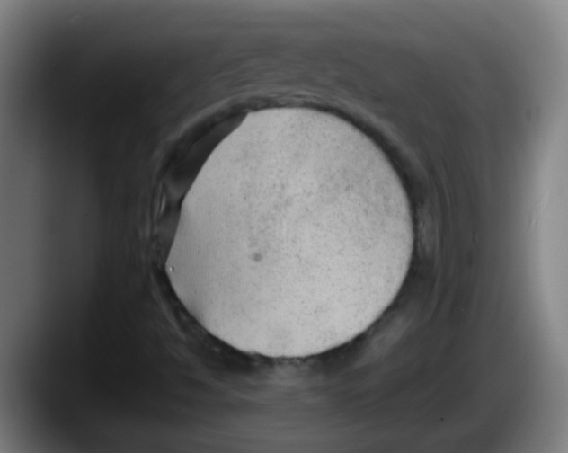 X0000087611494200705251931