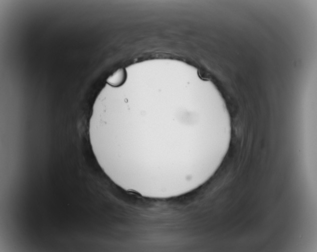 X0000087611495200705251931