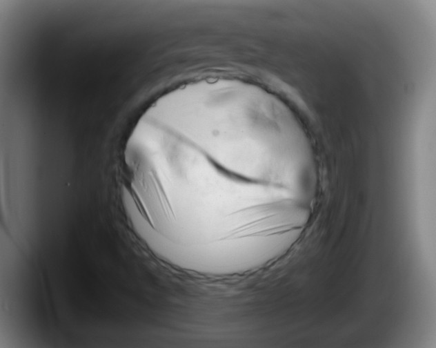 X0000087611496200705251931