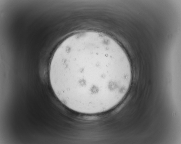 X0000087611498200705251932