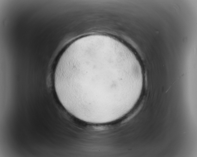 X0000087611501200705251932