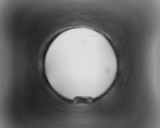 X0000087611503200705251932