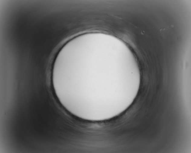 X0000087611504200705251932