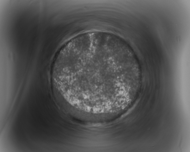 X0000087611505200705251932