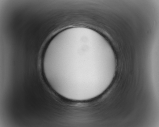 X0000087611506200705251932