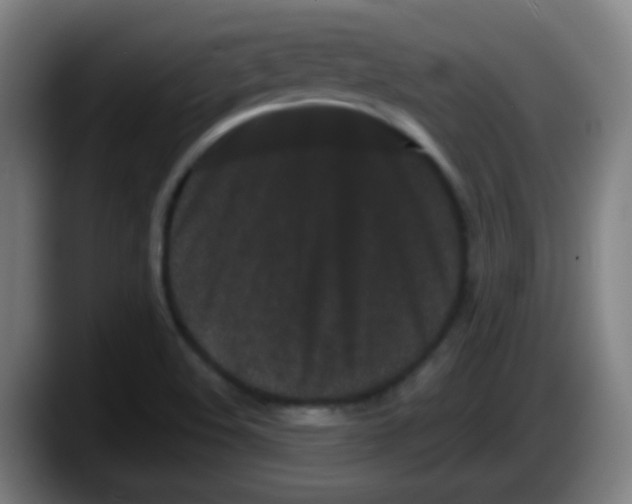 X0000087611508200705251932