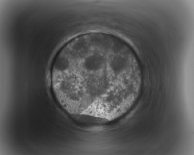 X0000087611509200705251932