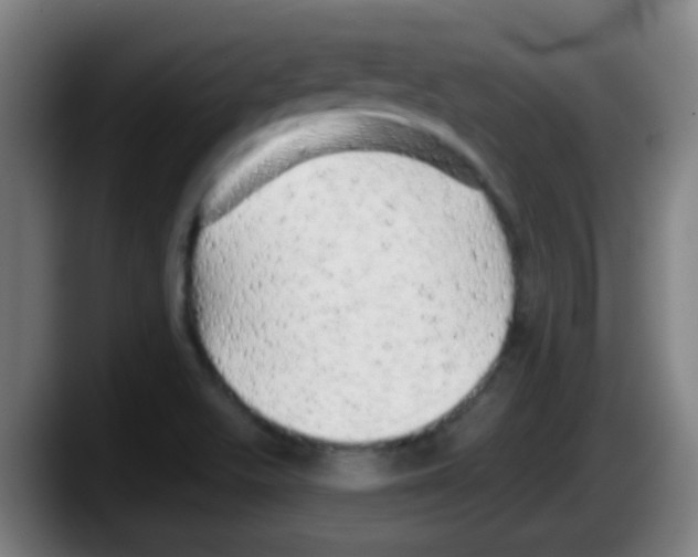 X0000087611511200705251932