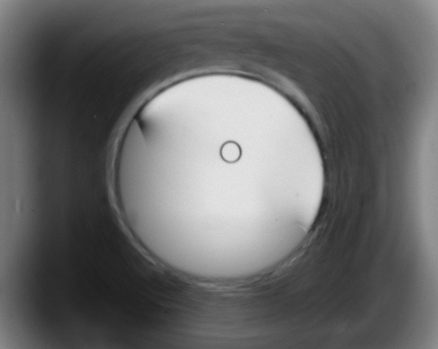 X0000087611512200705251932