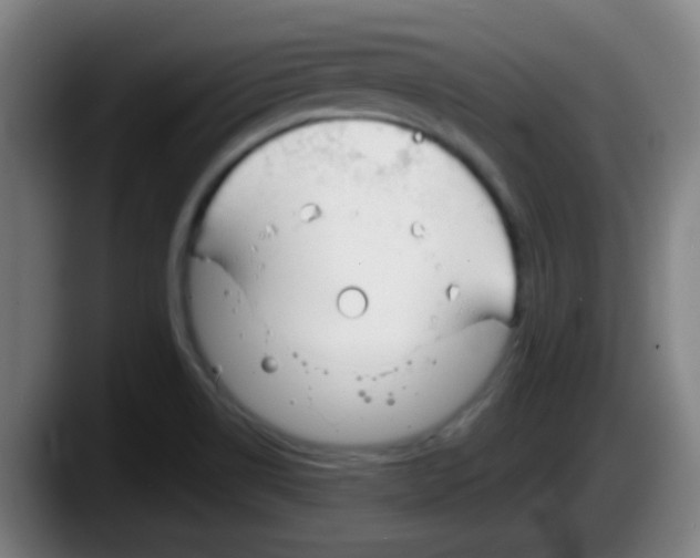 X0000087611514200705251932