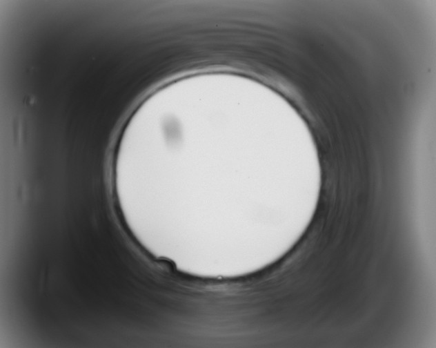 X0000087611516200705251932