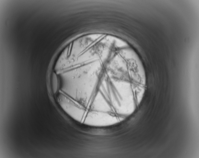 X0000087611517200705251932