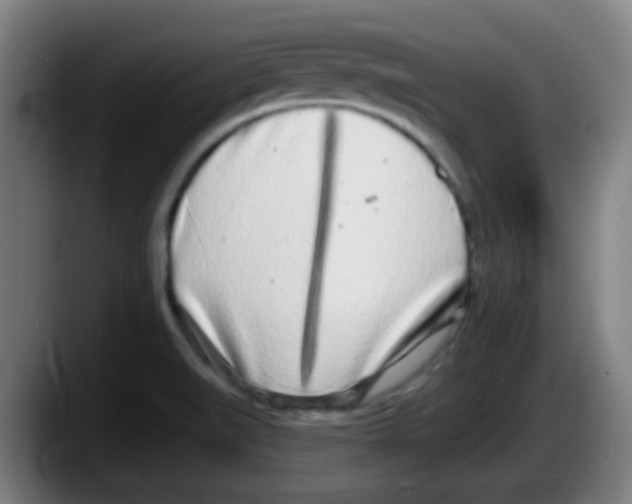 X0000087611519200705251932