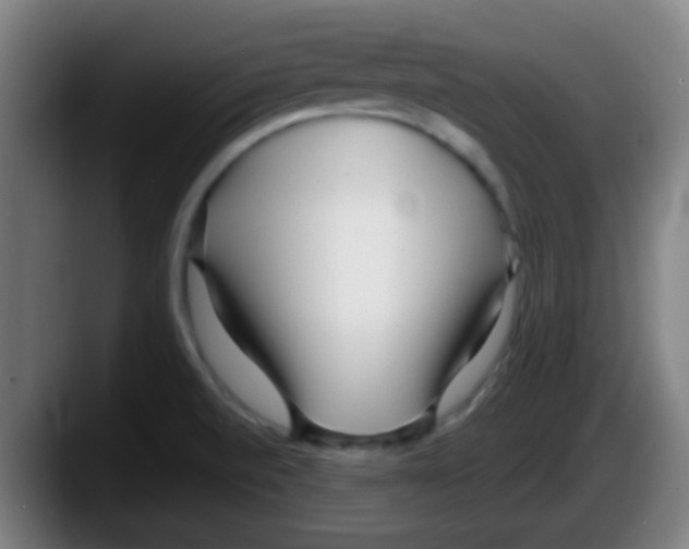 X0000087611520200705251932