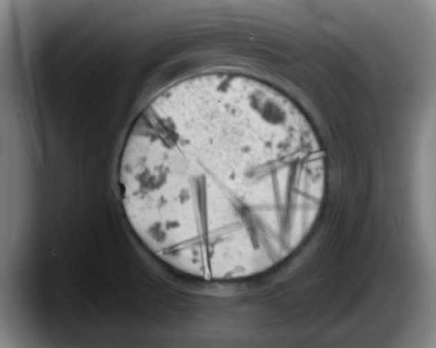 X0000087611521200705251932