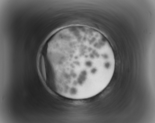 X0000087611523200705251932