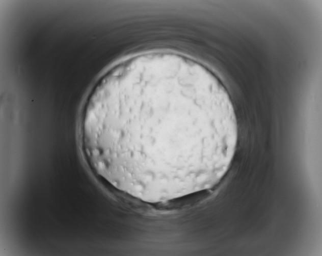 X0000087611526200705251932