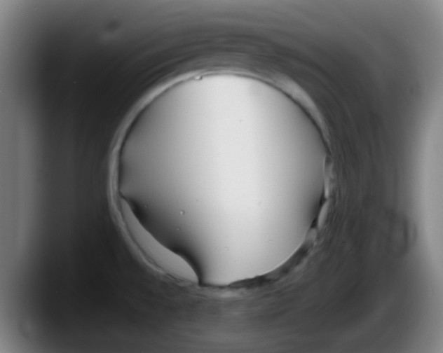 X0000087611528200705251932