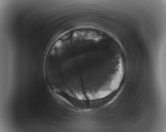 X0000087611529200705251932