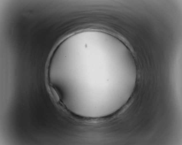 X0000087611530200705251932