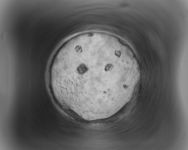 X0000087611531200705251932