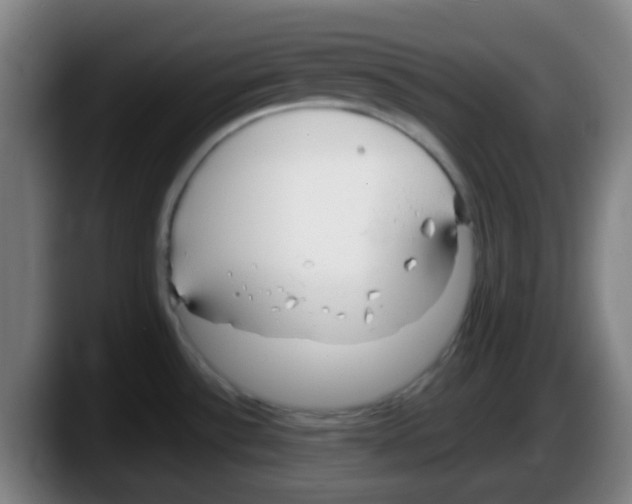 X0000087611532200705251932