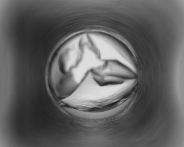 X0000087611533200705251932