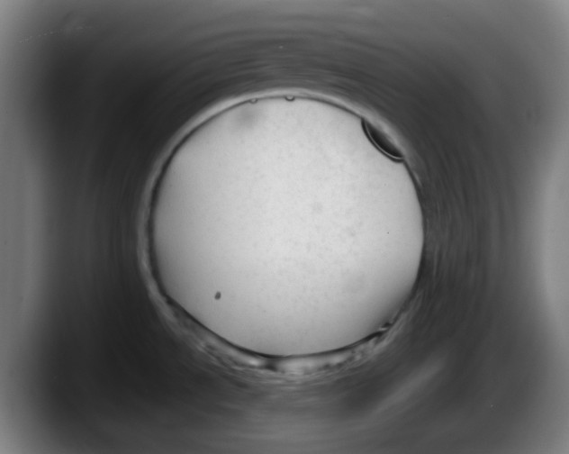 X0000087611534200705251932