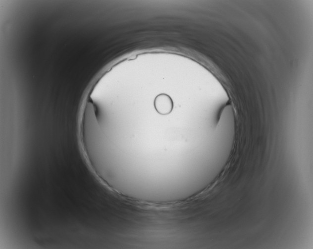 X0000087611536200705251932