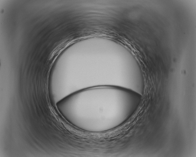 X0000087620002200704271148