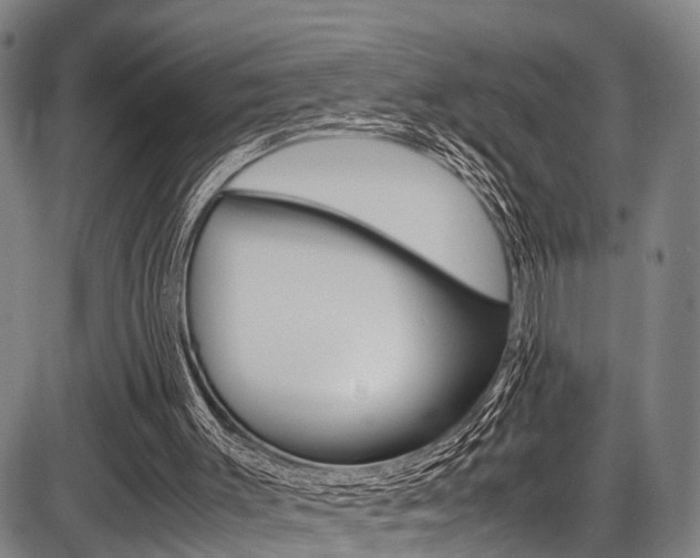 X0000087620003200704271148