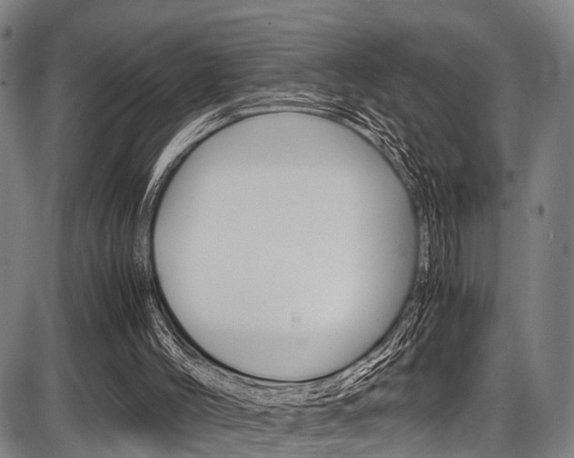 X0000087620004200704271148