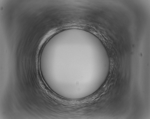 X0000087620006200704271148
