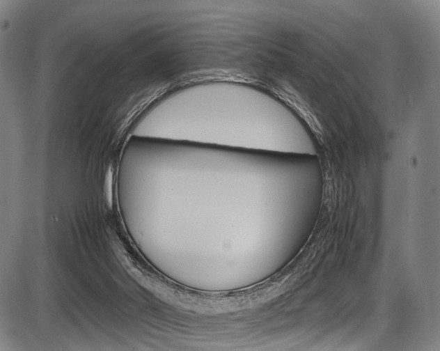 X0000087620014200704271148