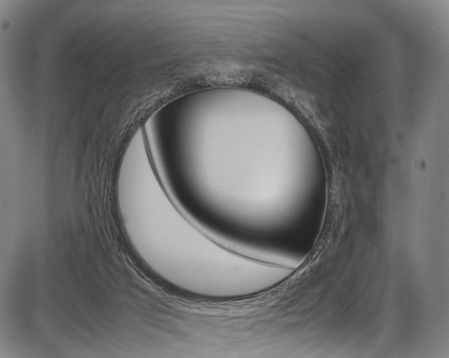 X0000087620017200704271148