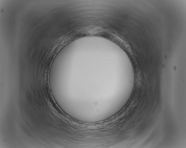 X0000087620018200704271148