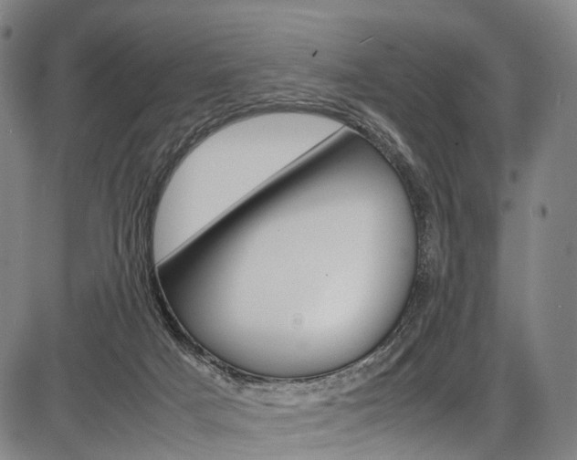 X0000087620025200704271148