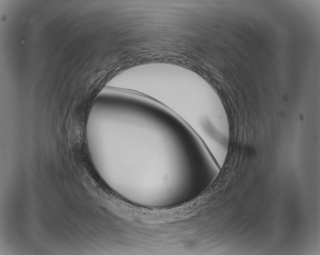 X0000087620039200704271148