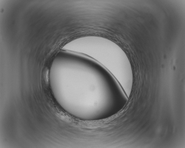 X0000087620041200704271148