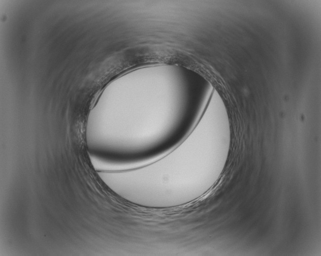 X0000087620045200704271148