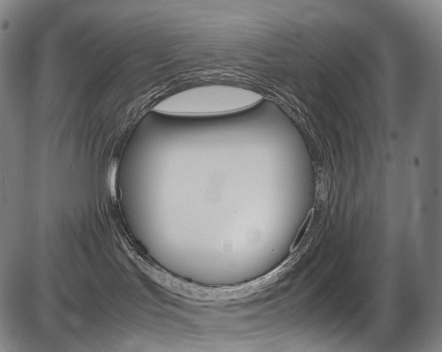 X0000087620047200704271148