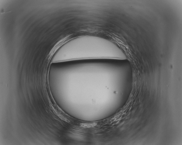 X0000087620051200704271147