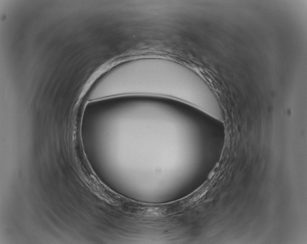 X0000087620056200704271147