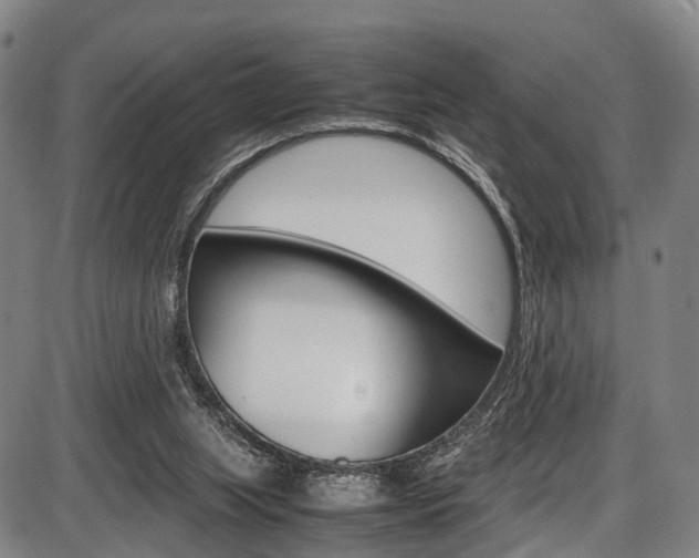 X0000087620063200704271147